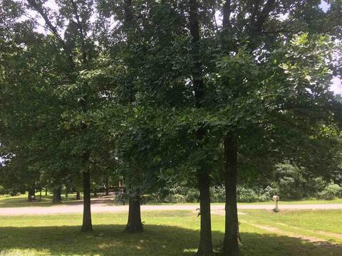 59 Piney Rd, Bigelow, AR 72016 photo 20