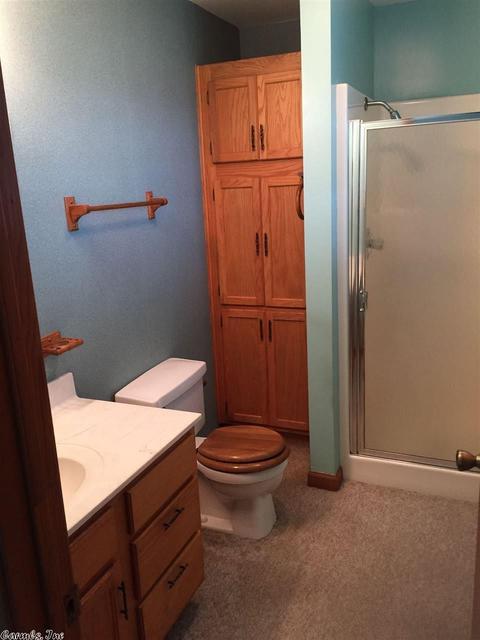 744 Shake Rag Rd, Clinton, AR 72031 photo 10