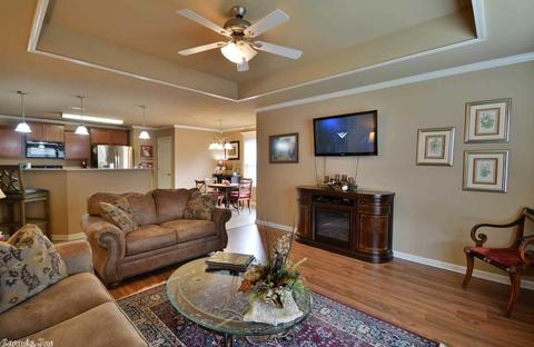 2250 Shadow Fls, Conway, AR 72032 photo 6