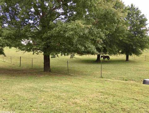 128 Junbug Ln, Royal, AR 71968 photo 22