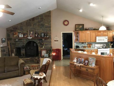 128 Junbug Ln, Royal, AR 71968 photo 15