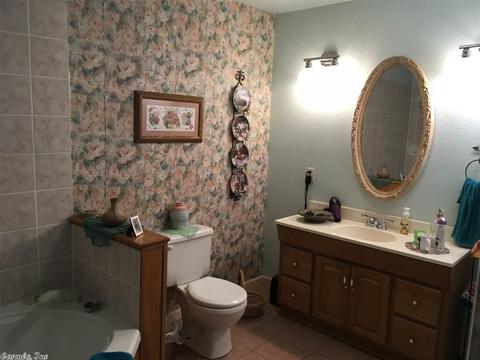128 Junbug Ln, Royal, AR 71968 photo 4