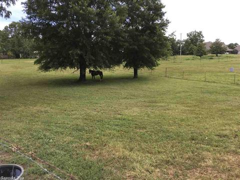 128 Junbug Ln, Royal, AR 71968 photo 28