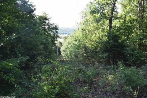 139 Wickham Rd, Mountain View, AR 72560 photo 19