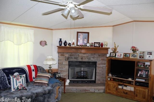 315 Blue Cove Loop, Mountain View, AR 72560 photo 18