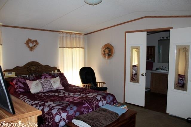 315 Blue Cove Loop, Mountain View, AR 72560 photo 20