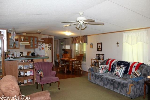 315 Blue Cove Loop, Mountain View, AR 72560 photo 17