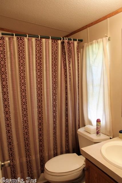 315 Blue Cove Loop, Mountain View, AR 72560 photo 15