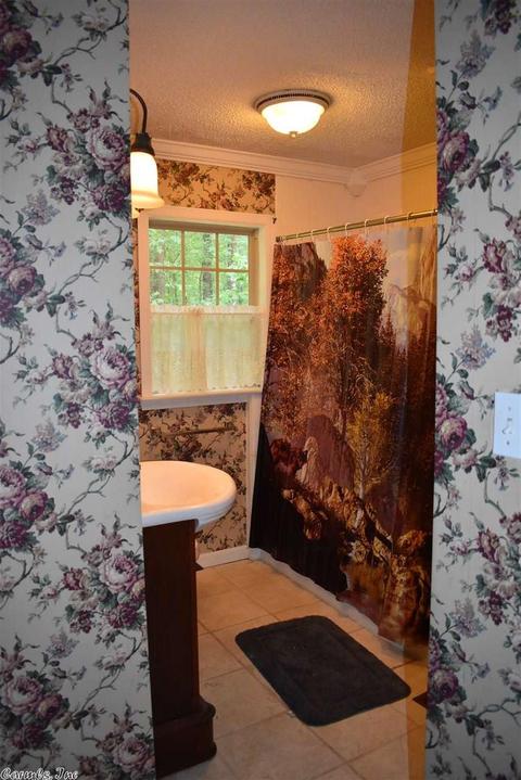 2725 Joyce Cir, Alexander, AR 72002 photo 21