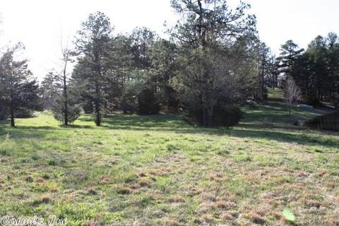108 Haley Ln, Mena, AR 71953 photo 10