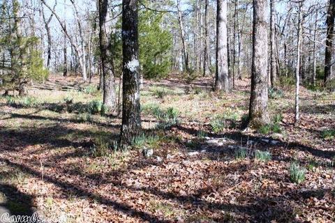 108 Haley Ln, Mena, AR 71953 photo 16