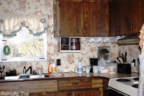 108 Haley Ln, Mena, AR 71953 photo 34