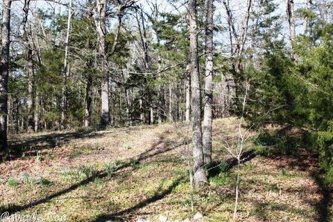 108 Haley Ln, Mena, AR 71953 photo 6