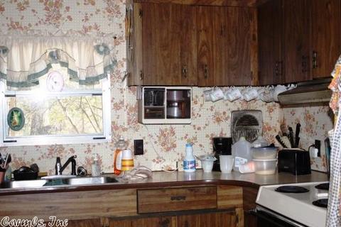 108 Haley Ln, Mena, AR 71953 photo 29