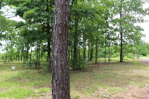 1789 Quitman Rd, Quitman, AR 72131 photo 30