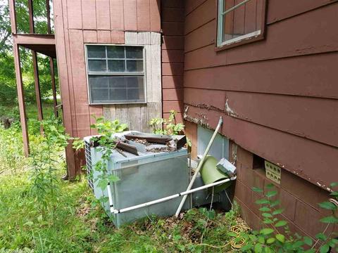 45 Ozbirn Ln, Ash Flat, AR 72513 photo 9