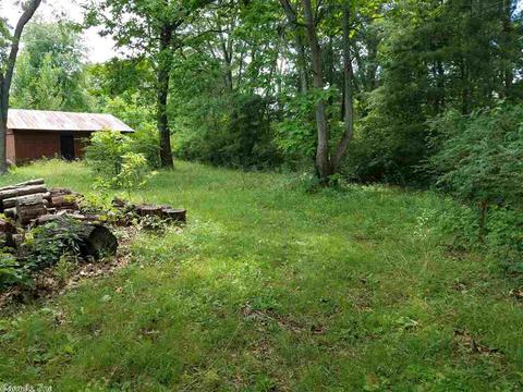 45 Ozbirn Ln, Ash Flat, AR 72513 photo 10
