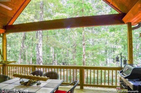 300 Silver Shores Ln, Drasco, AR 72530 photo 34