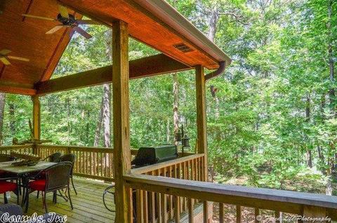 300 Silver Shores Ln, Drasco, AR 72530 photo 35