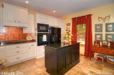 300 Silver Shores Ln, Drasco, AR 72530 photo 8