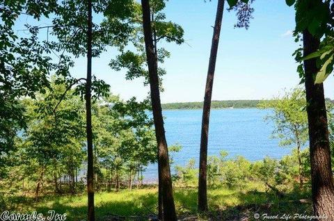 300 Silver Shores Ln, Drasco, AR 72530 photo 3