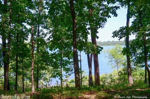 300 Silver Shores Ln, Drasco, AR 72530 photo 37