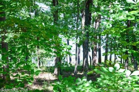300 Silver Shores Ln, Drasco, AR 72530 photo 36