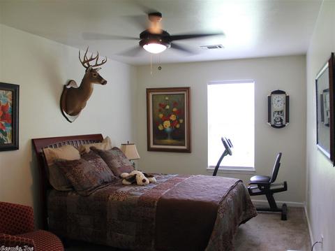 2880 Snow Ln, Alexander, AR 72002 photo 17