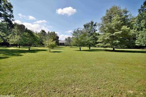 7 Gingerbread Ln, Conway, AR 72032 photo 6