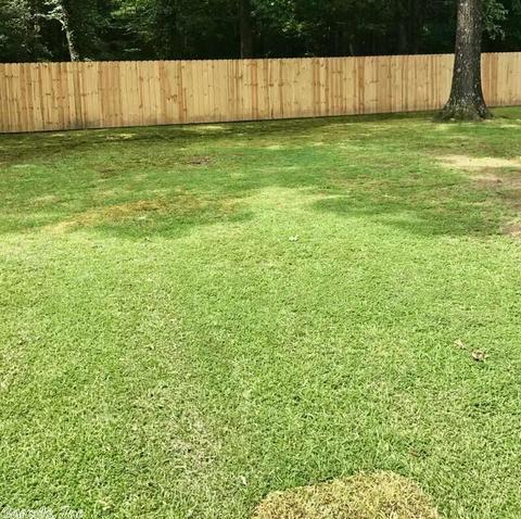 1402 War Eagle, Pine Bluff, AR 71603 photo 3