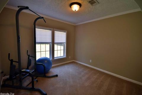 808 Butlerville Rd, Ward, AR 72176 photo 21
