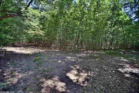 808 Butlerville Rd, Ward, AR 72176 photo 40