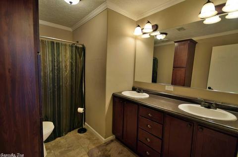 808 Butlerville Rd, Ward, AR 72176 photo 34
