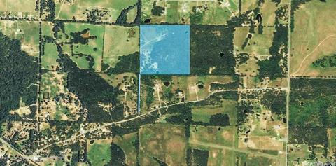 31 Levi, Conway, AR 72032 photo 1