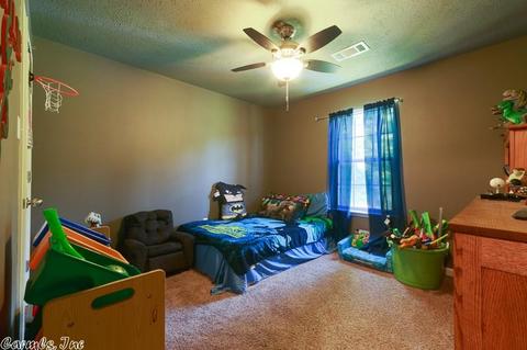204 Tyler Ln, Austin, AR 72007 photo 18