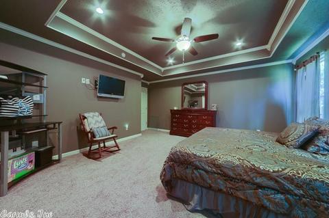 204 Tyler Ln, Austin, AR 72007 photo 14