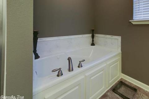 204 Tyler Ln, Austin, AR 72007 photo 16
