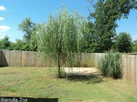 2809 Southfork Dr, Cabot, AR 72023 photo 38