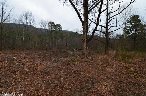 3254 Highway 270, Mena, AR 71953 photo 5