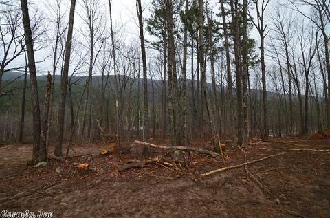 3254 Highway 270, Mena, AR 71953 photo 37