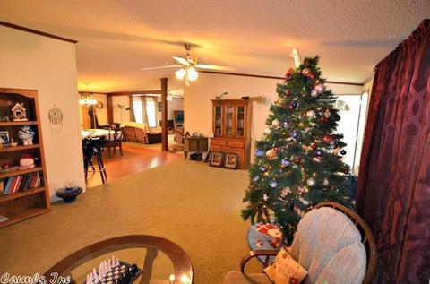 3254 Highway 270, Mena, AR 71953 photo 13