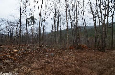 3254 Highway 270, Mena, AR 71953 photo 36