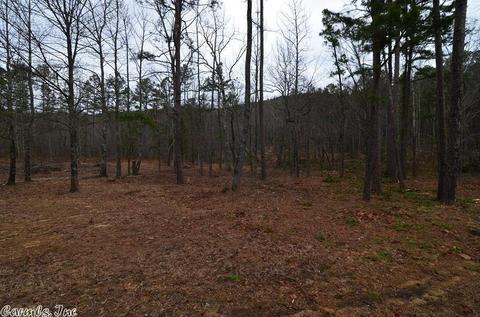 3254 Highway 270, Mena, AR 71953 photo 30