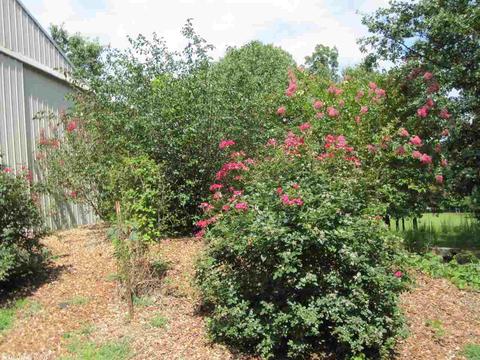 3541 S Hwy 267, Beebe, AR 72012 photo 25