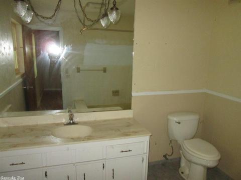 416 Mariposa Loop, Bee Branch, AR 72013 photo 12