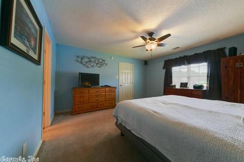 3 Willard St, Ward, AR 72176 photo 23