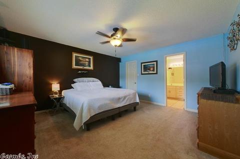 3 Willard St, Ward, AR 72176 photo 20