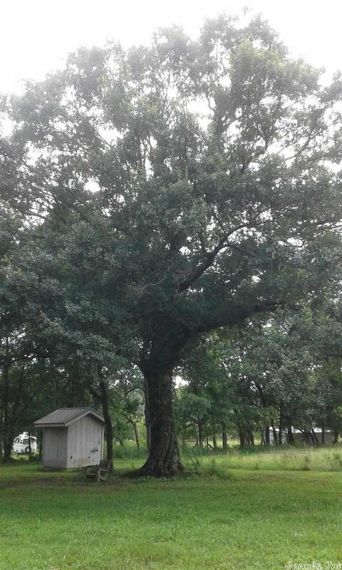 4017 E Hwy 88, Mena, AR 71953 photo 38