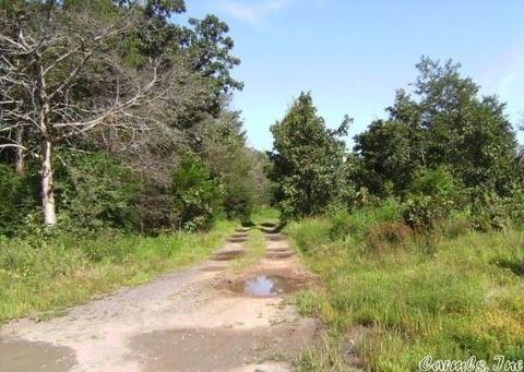 131 Wildcat Loop, Searcy, AR 72143 photo 1