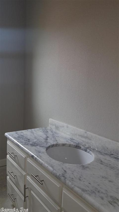 780 Mango Loop, Austin, AR 72007 photo 4